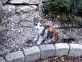 Caramel 07-05 039